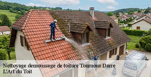 nettoyage-demoussage-de-toiture-l-art-du-toit-4