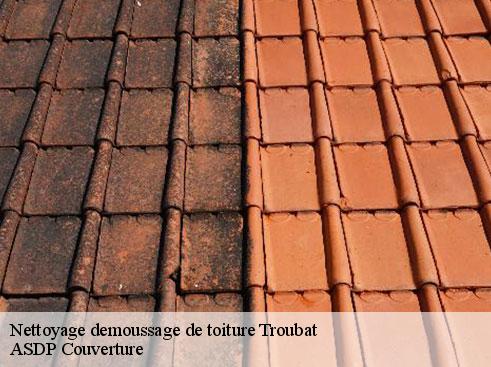 nettoyage-demoussage-de-toiture-asdp-couverture-7