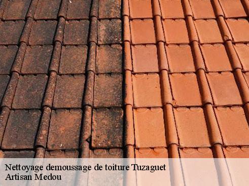 nettoyage-demoussage-de-toiture-artisan-medou-7