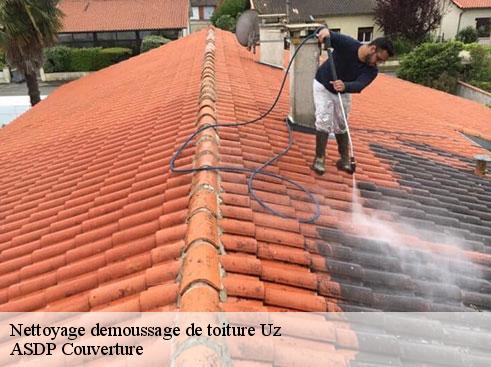 nettoyage-demoussage-de-toiture-asdp-couverture-4