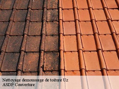 nettoyage-demoussage-de-toiture-asdp-couverture-7