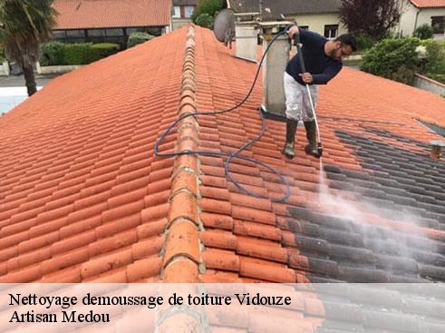 nettoyage-demoussage-de-toiture-artisan-medou-4