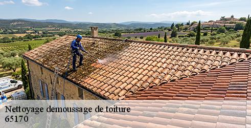nettoyage-demoussage-de-toiture-l-art-du-toit-8