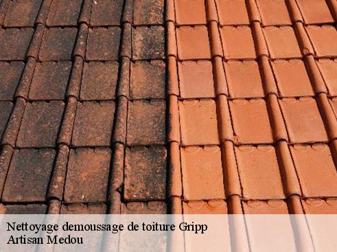nettoyage-demoussage-de-toiture-artisan-medou-7