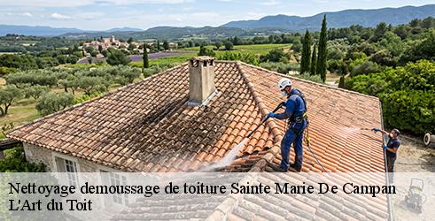 nettoyage-demoussage-de-toiture-l-art-du-toit-7