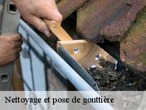 Nettoyage et pose de gouttière  65360