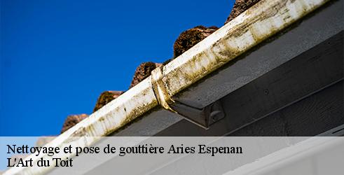 nettoyage-et-pose-de-gouttiere-l-art-du-toit-10