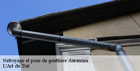 nettoyage-et-pose-de-gouttiere-l-art-du-toit-1
