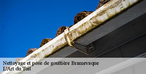 nettoyage-et-pose-de-gouttiere-l-art-du-toit-10