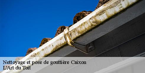 nettoyage-et-pose-de-gouttiere-l-art-du-toit-10
