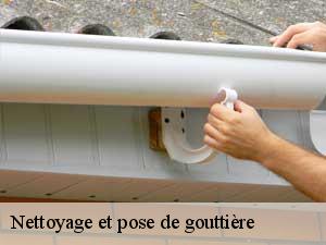 Nettoyage et pose de gouttière