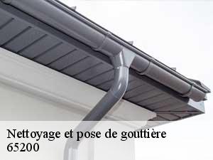 nettoyage-et-pose-de-gouttiere-asdp-couverture-5