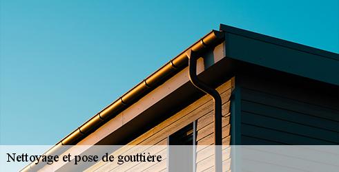 nettoyage-et-pose-de-gouttiere-l-art-du-toit-9