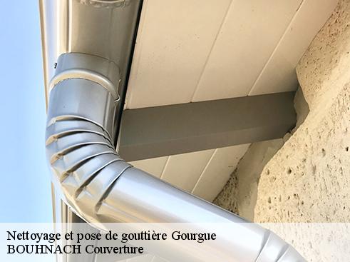 Nettoyage et pose de gouttière 65130