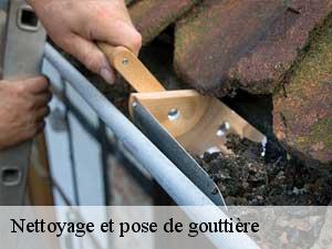 Nettoyage et pose de gouttière 65130