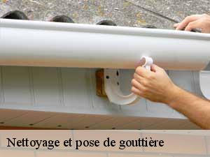 Nettoyage et pose de gouttière