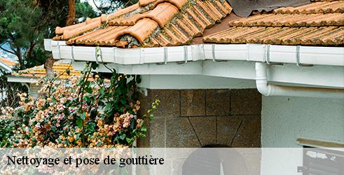 nettoyage-et-pose-de-gouttiere-l-art-du-toit-3