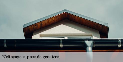 nettoyage-et-pose-de-gouttiere-l-art-du-toit-6