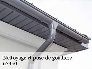 Nettoyage et pose de gouttière