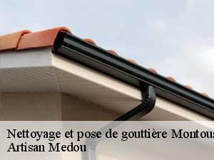 Nettoyage et pose de gouttière  montousse-65250 Artisan Medou
