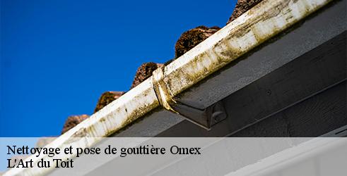 nettoyage-et-pose-de-gouttiere-l-art-du-toit-10