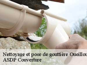 nettoyage-et-pose-de-gouttiere-asdp-couverture-7