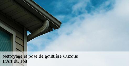 nettoyage-et-pose-de-gouttiere-l-art-du-toit-7