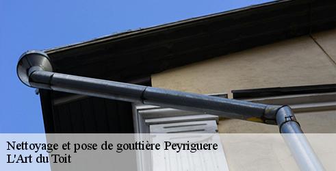 nettoyage-et-pose-de-gouttiere-l-art-du-toit-1