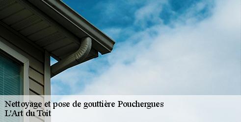 nettoyage-et-pose-de-gouttiere-l-art-du-toit-7