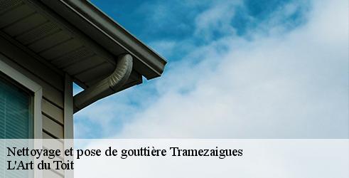 nettoyage-et-pose-de-gouttiere-l-art-du-toit-7