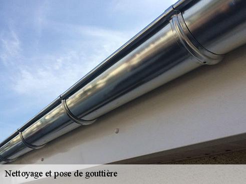 Nettoyage et pose de gouttière vignec-65170 BOUHNACH Couverture