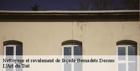 nettoyage-et-ravalement-de-facade-l-art-du-toit-7