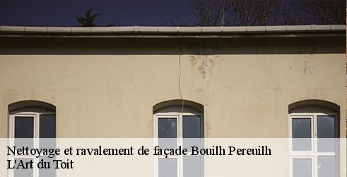 nettoyage-et-ravalement-de-facade-l-art-du-toit-7