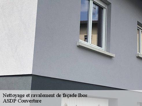 nettoyage-et-ravalement-de-facade-asdp-couverture-4