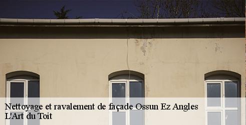 nettoyage-et-ravalement-de-facade-l-art-du-toit-7