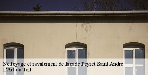 nettoyage-et-ravalement-de-facade-l-art-du-toit-7