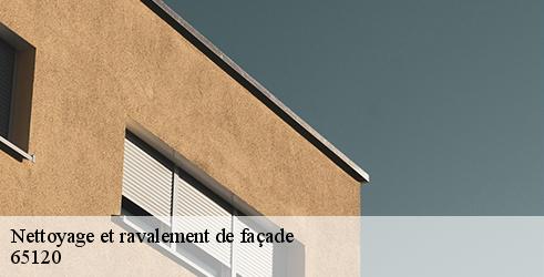 nettoyage-et-ravalement-de-facade-l-art-du-toit-2