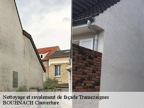 Nettoyage et ravalement de façade tramezaigues-65170 Artisan Medou