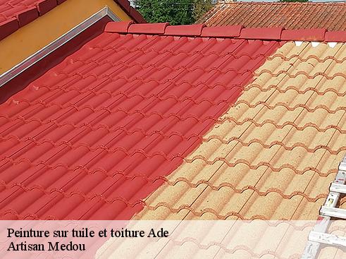 peinture-sur-tuile-et-toiture-artisan-medou-4