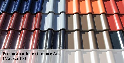peinture-sur-tuile-et-toiture-l-art-du-toit-7