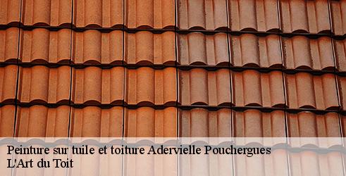 peinture-sur-tuile-et-toiture-l-art-du-toit-4