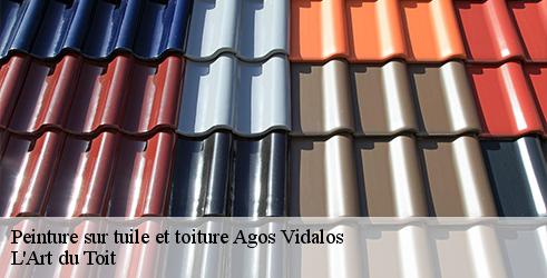 peinture-sur-tuile-et-toiture-l-art-du-toit-7