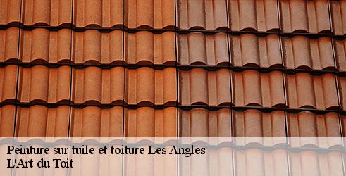 peinture-sur-tuile-et-toiture-l-art-du-toit-4