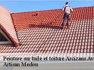 Peinture sur tuile et toiture  arcizans-avant-65400 Artisan Medou