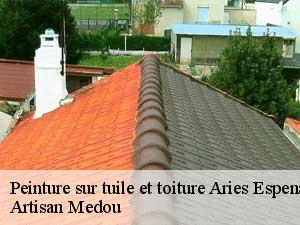 peinture-sur-tuile-et-toiture-artisan-medou-7