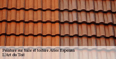 peinture-sur-tuile-et-toiture-l-art-du-toit-4