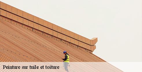 peinture-sur-tuile-et-toiture-l-art-du-toit-6