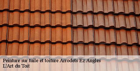 peinture-sur-tuile-et-toiture-l-art-du-toit-4
