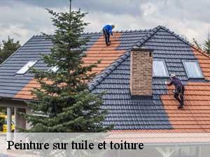 Peinture sur tuile et toiture  65390