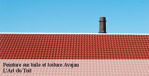 peinture-sur-tuile-et-toiture-l-art-du-toit-10